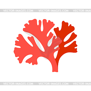 Твердые кораллы, морские водоросли, водные подводные организмы - иллюстрация в векторном формате