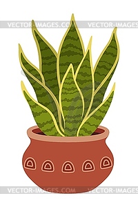 Pot with artificial snake plant, flower - vector image