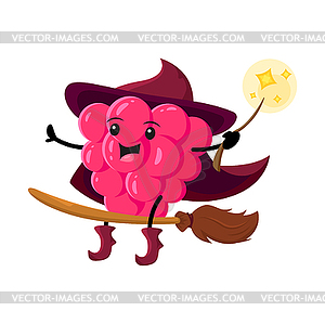 Cartoon raspberry berry wizard, mage or magician - vector clipart