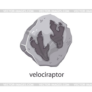 Velociraptor dinosaur footprint stone fossil - vector clip art