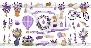 Lavender flowers, herb and bunch, perfume, oil set - vector clipart