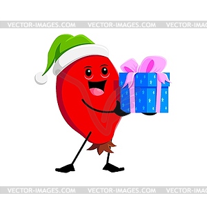 Cartoon Christmas holiday rosehip berry with gift - color vector clipart