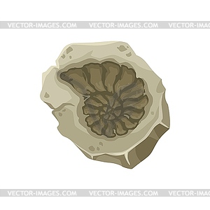 Seashell fossil, ancient stone nautilus imprint - vector clip art