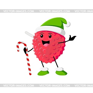 Cartoon Christmas ripe raw lychee fruit hold candy - vector clip art