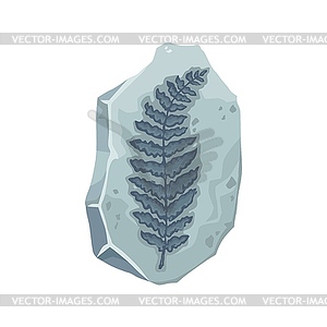 Plant fossil, ancient stone fern leaf imprint - vector clipart
