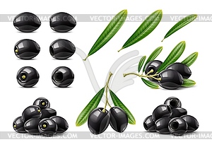 Реалистичный набор веток и листьев черных оливок - клипарт в векторном виде