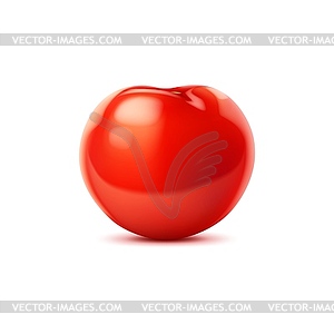 Сырой реалистичный красный спелый помидор, цельный овощ - клипарт в векторе / векторное изображение