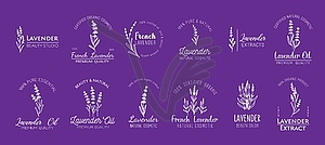 French lavender minimal logo, natural cosmetics - vector clip art