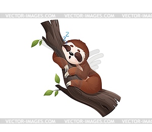 Cartoon lazy sloth animal character sleeps on tree - vector clipart