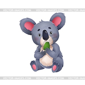 Cartoon koala bear munches on eucalyptus leaf - vector image