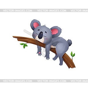 Koala cartoon character sleep on eucalyptus tree - vector clipart