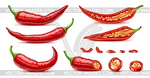 Realistic raw whole and half chili pepper - vector clipart