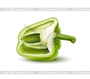 Realistic green raw half bell pepper vegetable - vector image
