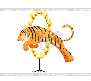 Circus tiger animal jumping through fire ring - vector image