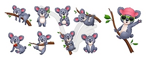 Cartoon koala bear characters set - vector clipart