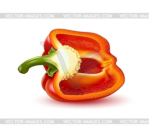 Realistic red raw half of bell pepper vegetable - vector clipart