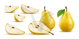 Raw realistic yellow pear ripe fruit, whole, half - vector clipart