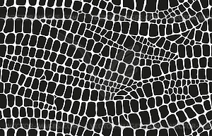 Animal skin pattern. Dinosaur, crocodile and snake - vector image