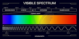 Visible spectrum light, wavelengths diagram - vector clip art
