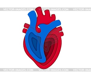 Paper cut human heart 3d circulatory system - vector clipart