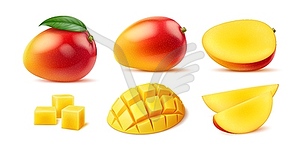 Realistic ripe raw mango fruit whole, cut pieces - vector clip art