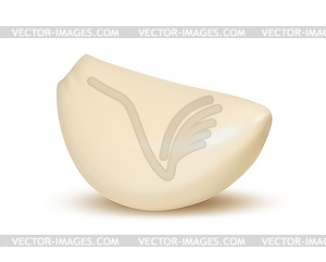 Realistic garlic clove peeled, vegetable - vector image