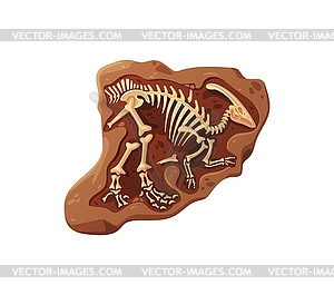 Dino fossil skeleton bones, dinosaur structure - vector clipart / vector image