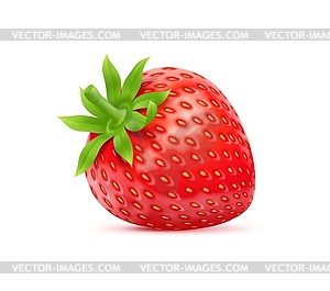 3d realistic raw ripe strawberry fruit fresh berry - vector image