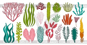 Seaweeds, corals or sea algae, underwater plants - vector clipart