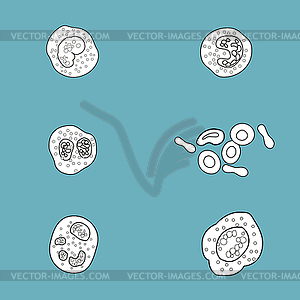 Bacteria and virus cell black decorative icons set - vector clip art