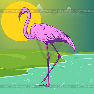 Beautiful pink flamingo on shore of lake against - vector image