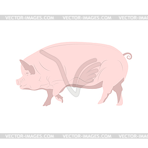 Домашняя розовая свинья - векторный клипарт Royalty-Free