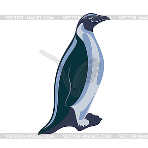 Penguin.  - vector clip art