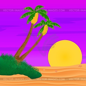 Evening on beach with palm trees. Colorful picture - vector clipart