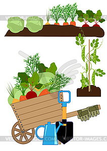 Vegetable garden bed - vector image