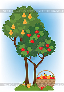 Apple and pear trees - vector clipart