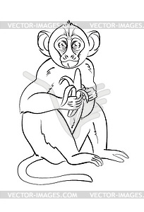 Monkey - vector image