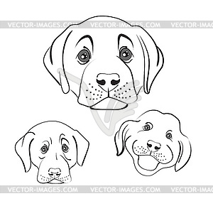 Dogs - vector clipart