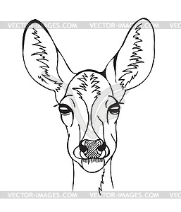 Stylized deer head - vector clip art