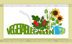 Vegetable garden banner - vector image