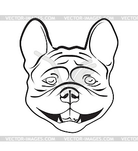 Head of french bulldog - vector clipart