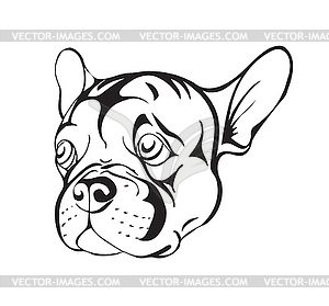 Sad french bulldog - vector image