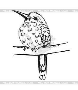 Small bird on branch - vector image