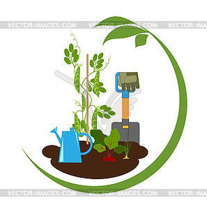 Vegetables in beds and garden tools - vector clip art