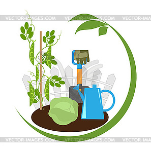 Vegetables in beds and garden tools - vector clipart / vector image