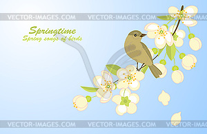 Spring background with bird - vector clipart