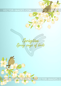 Spring background with birds - vector image