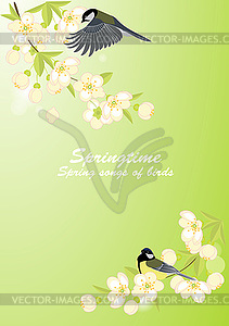 Spring background with birds - royalty-free vector image