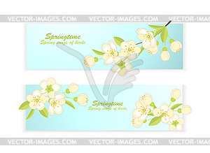 Banner with spring flowering branches - vector clipart