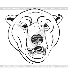 Head of polar bear - vector clipart